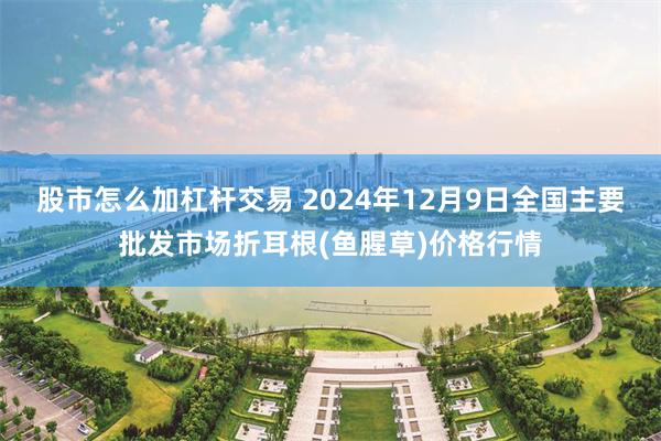 股市怎么加杠杆交易 2024年12月9日全国主要批发市场折耳根(鱼腥草)价格行情