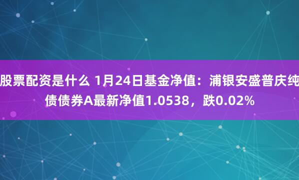 股票配资是什么 1月24日基金净值：浦银安盛普庆纯债债券A最新净值1.0538，跌0.02%